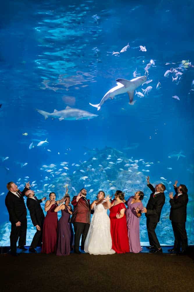 Wedding party standing in front the shark tank pretending to be frightened.