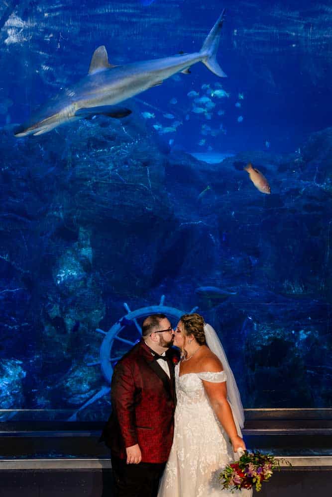 Couple embracing in front the shark tank at the Adventure Aquarium.